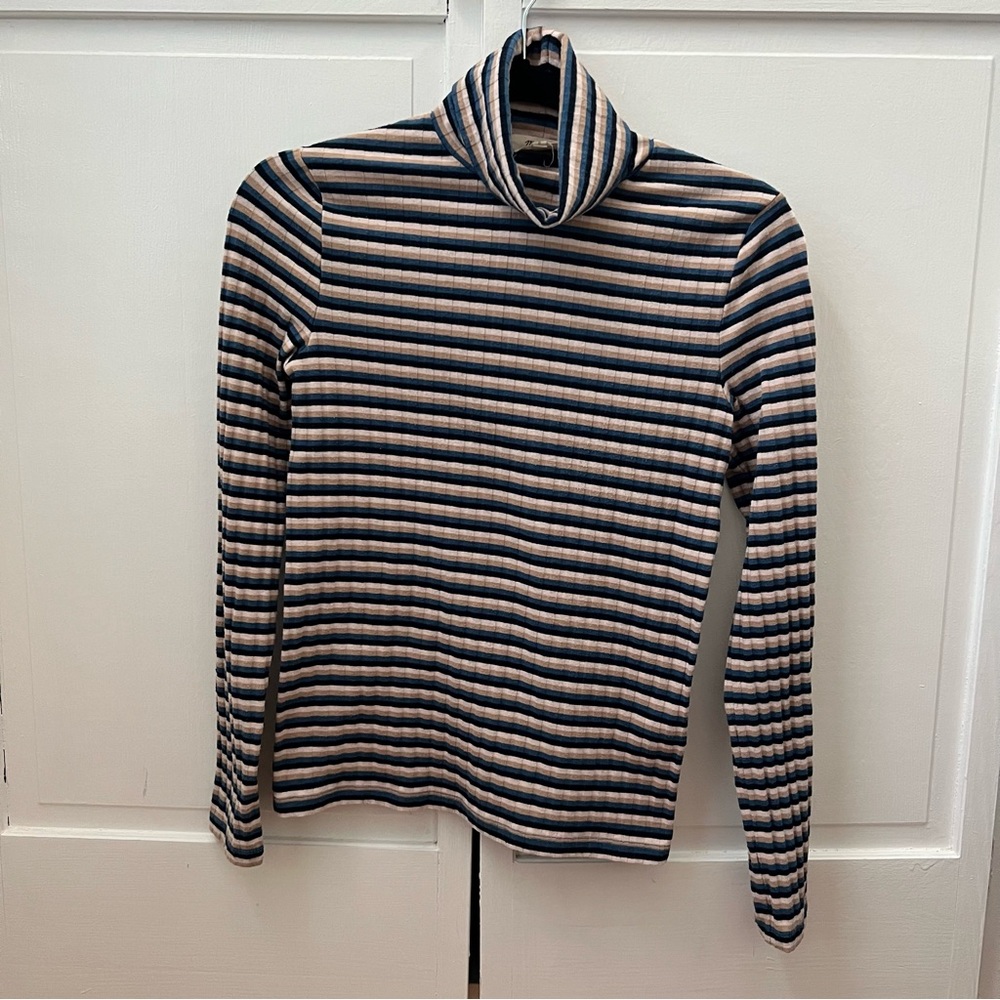 Stripe madewell turtleneck